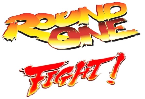 Image result for street fighter round one fight